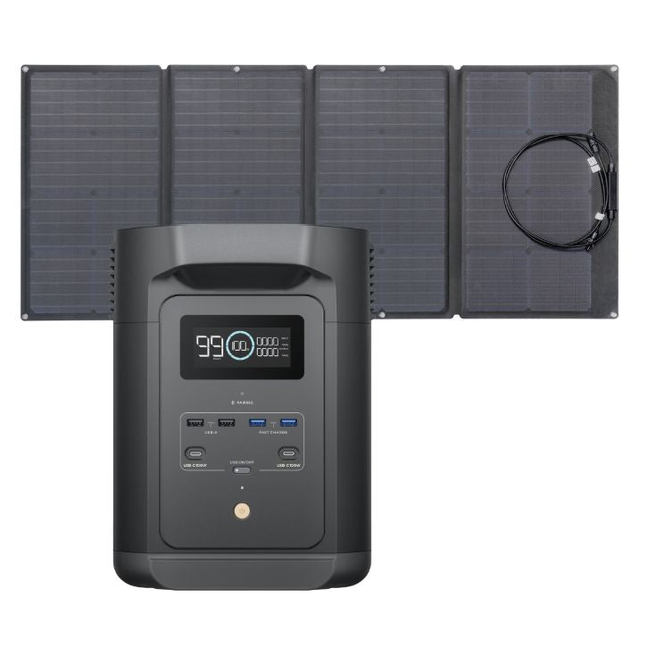 Ecoflow Delta Black (E980)