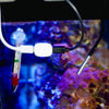 Shelly Sensor de Temperatura DS18B20 3.5mm jack